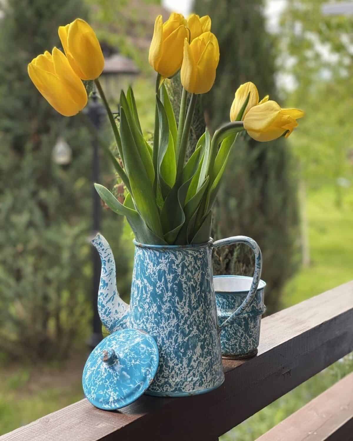 A Pitcher Repurposed Into Vase