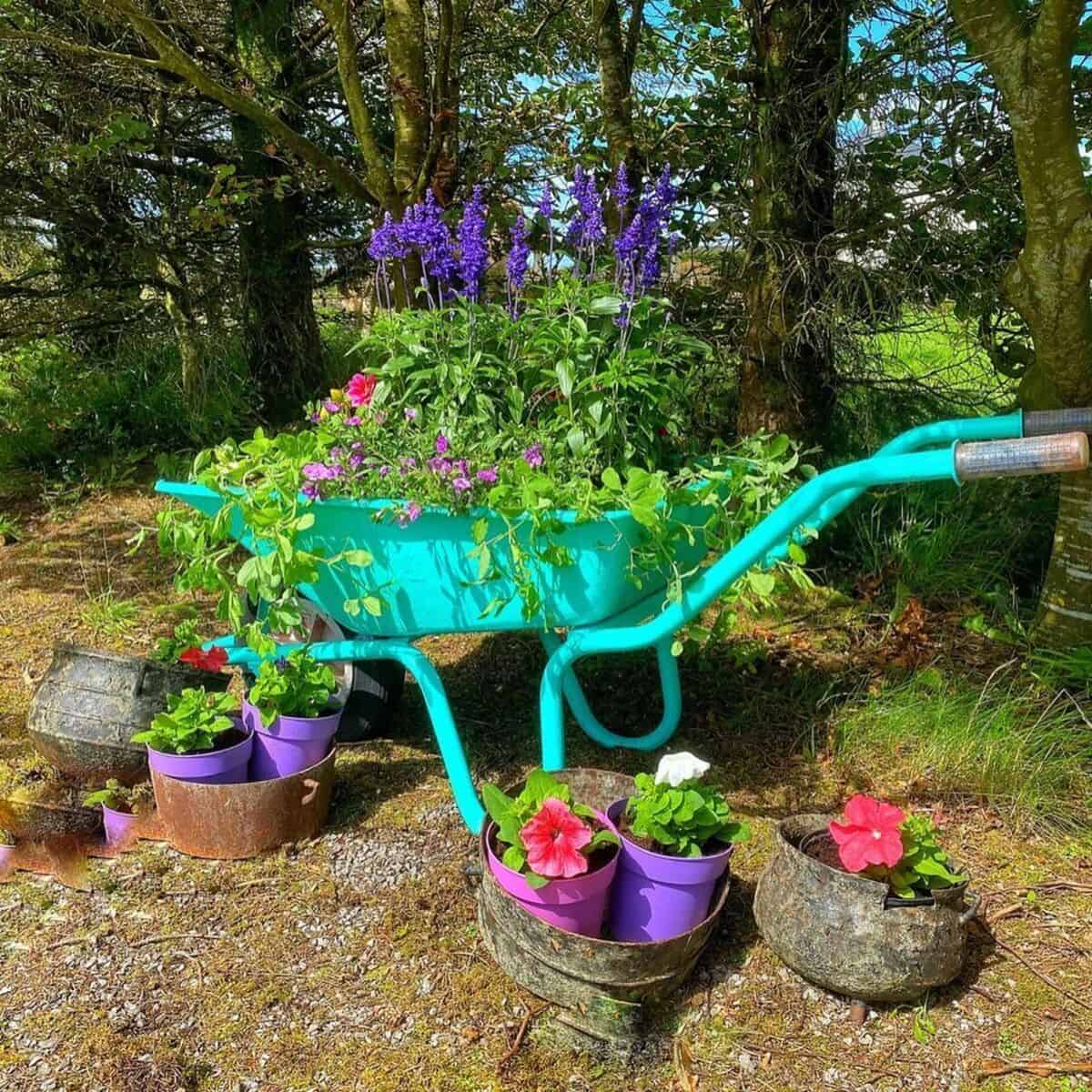 Wheelbarrow Garden