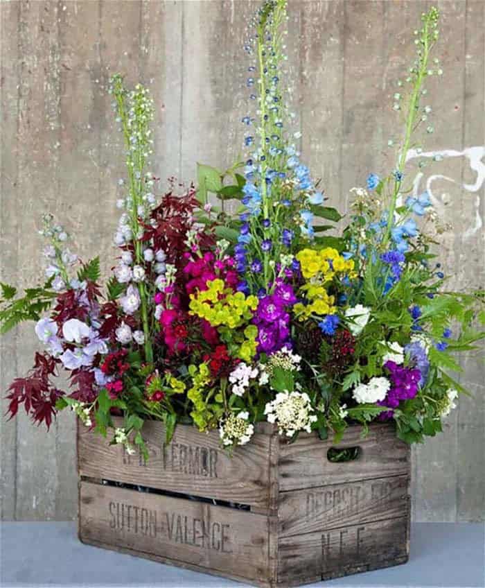 Colors Stand out in Rustic Market Crate