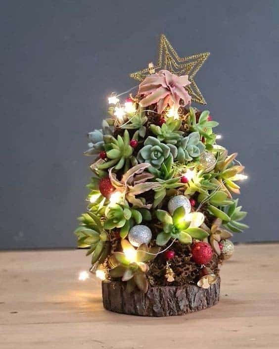 Light Up Your Succulent Tree with Fairy Lights