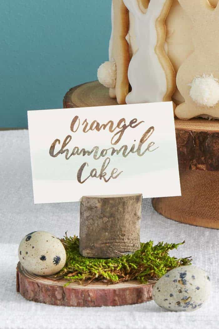 Craft Tree Limb Placeholders for Food Cards