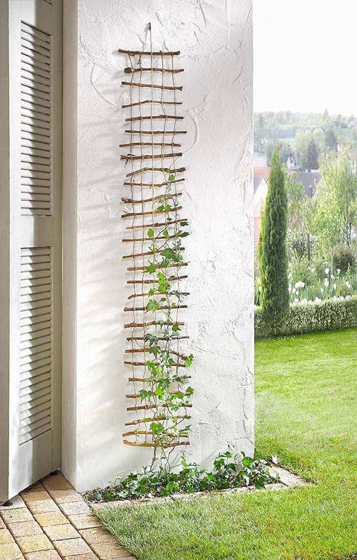 Primitive Look Hanging Trellis