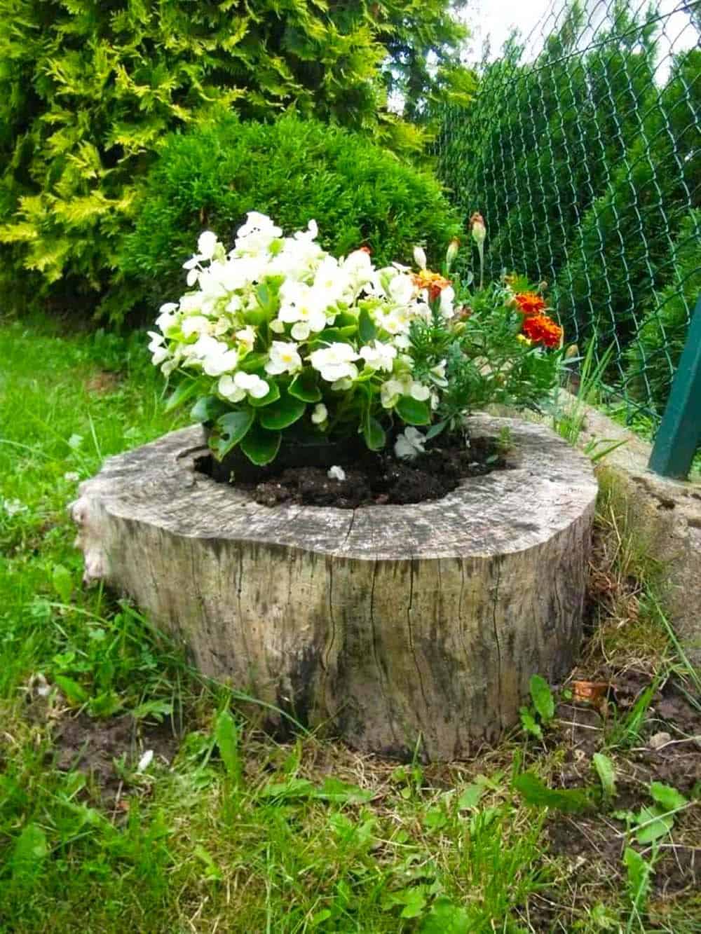 Stump Flower Planter