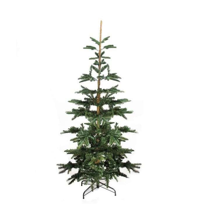 Wide Sparse Branched Noble Fir