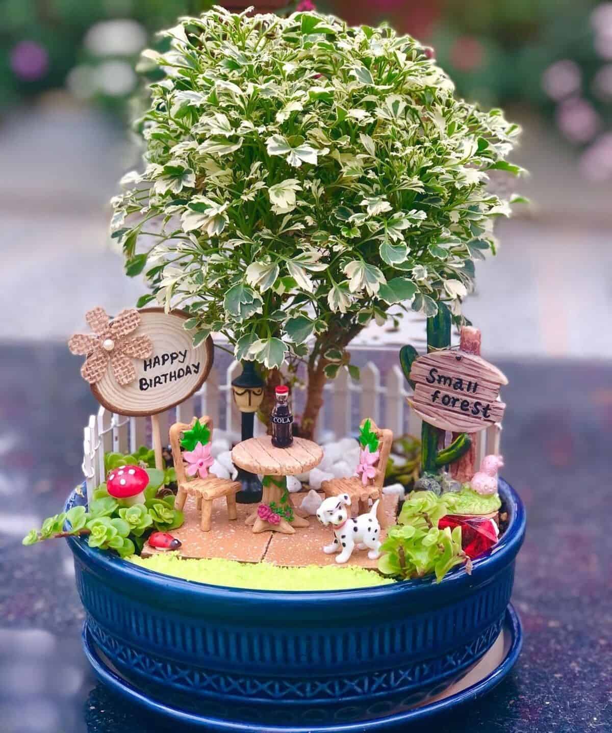 Patio Fairy Garden