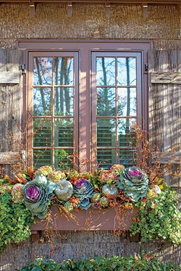 Autumn Harmony On The Window