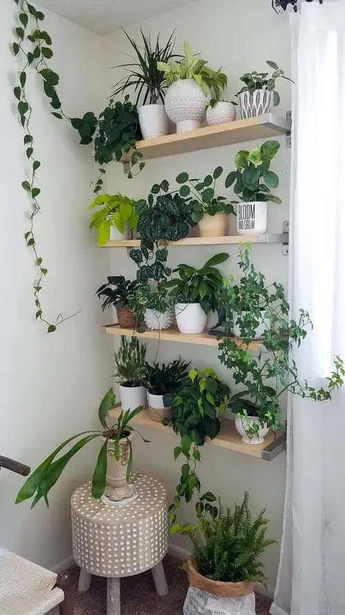 Gardening Solution for a Small Space