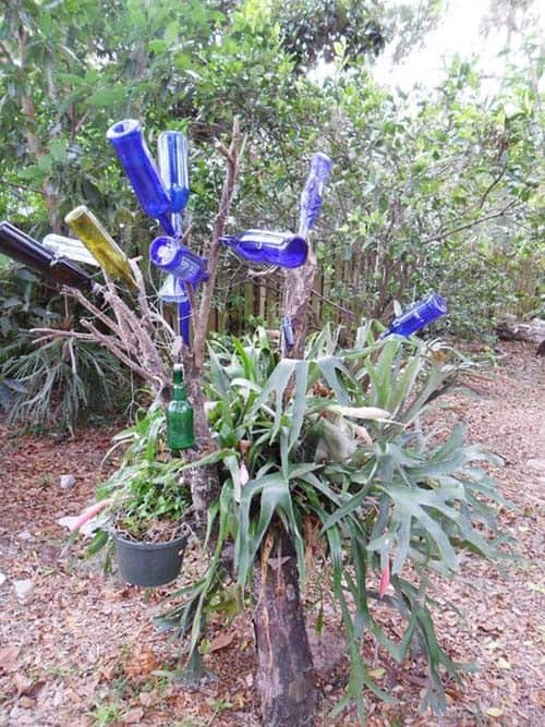 Revitalize Your Garden Tree with Used Bottles