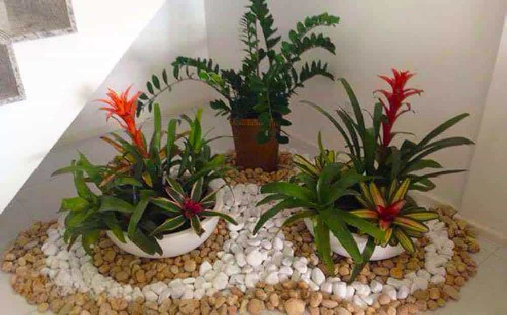 Indoor Tropical Corner