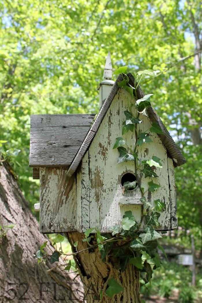 Build a Wildlife-Friendly Birdhouse for Your Backyard