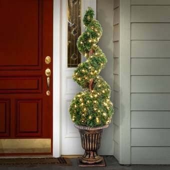 Enhance Your Home’s Curb Appeal with a Twisted Topiary