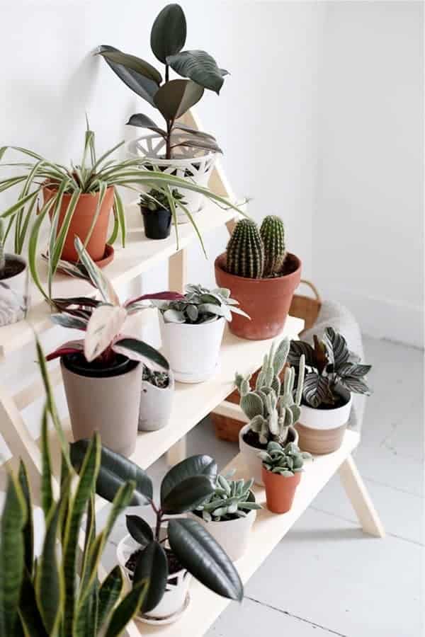 Tiered Ladder Indoor Plant Stand