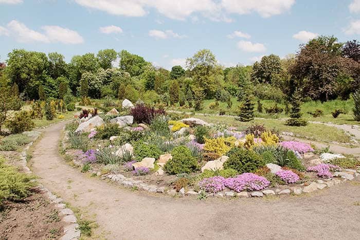 Create an Alpine Garden With Colorful Flowers