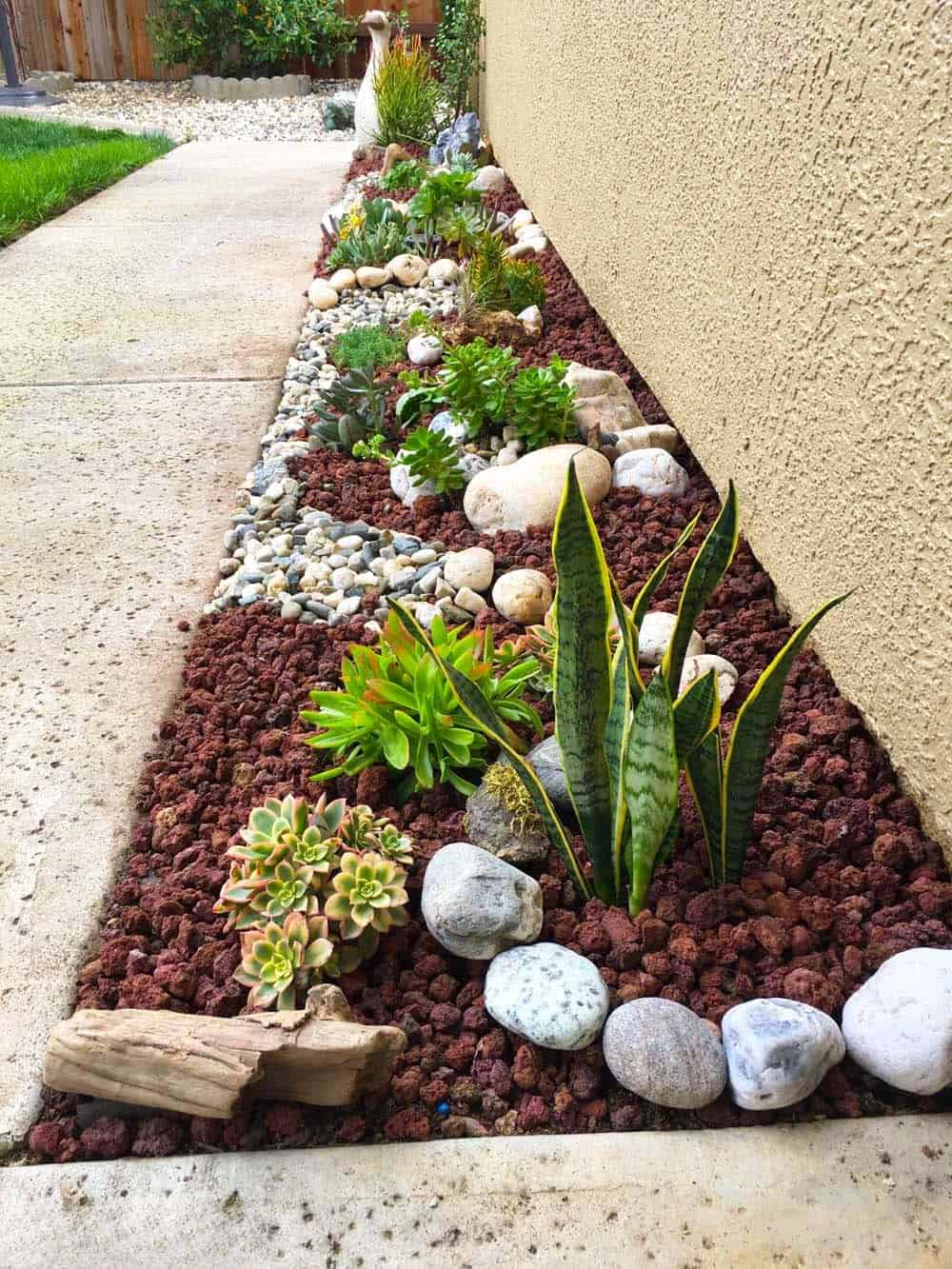 Succulent Sidewalk Edge