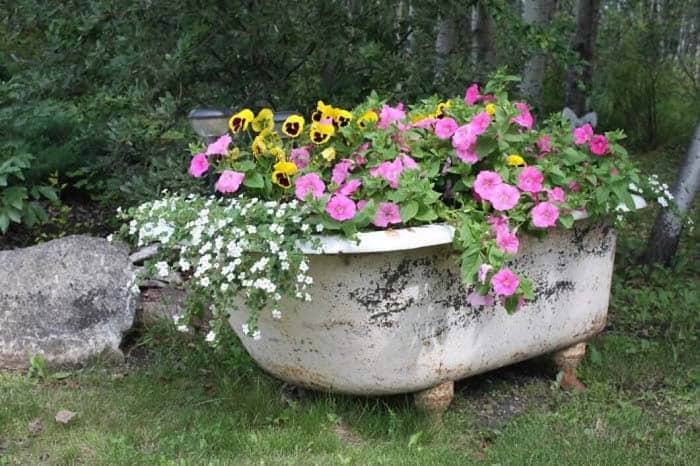 Repurpose an Old Bathtub into a Flower Bed