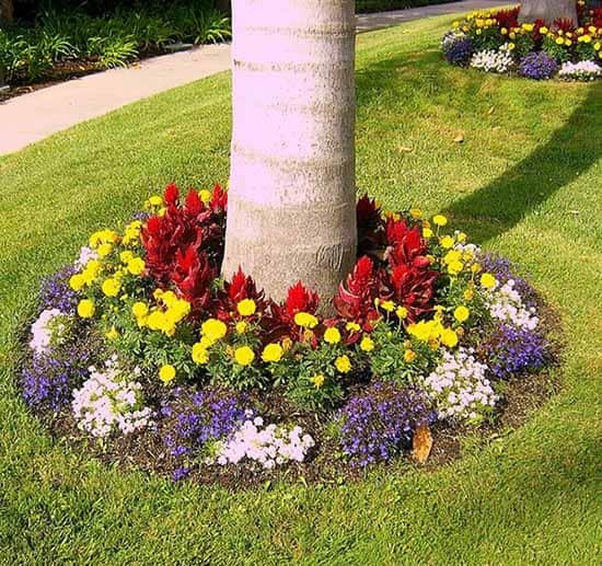 Transform Your Garden with Colorful Symmetry