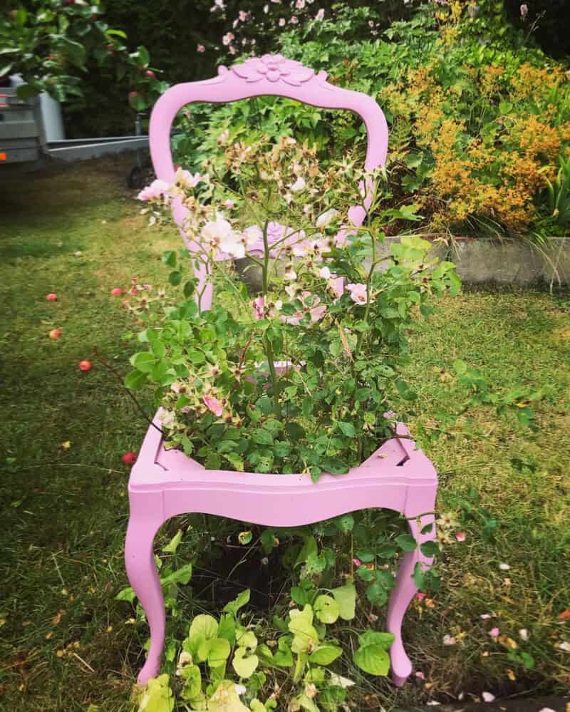 Don’t Sit on Your Fairy Garden