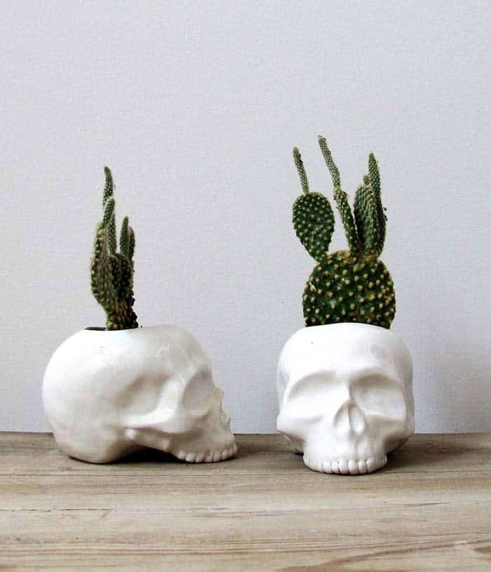 Upgrade Your Halloween Decor with Skull Planters