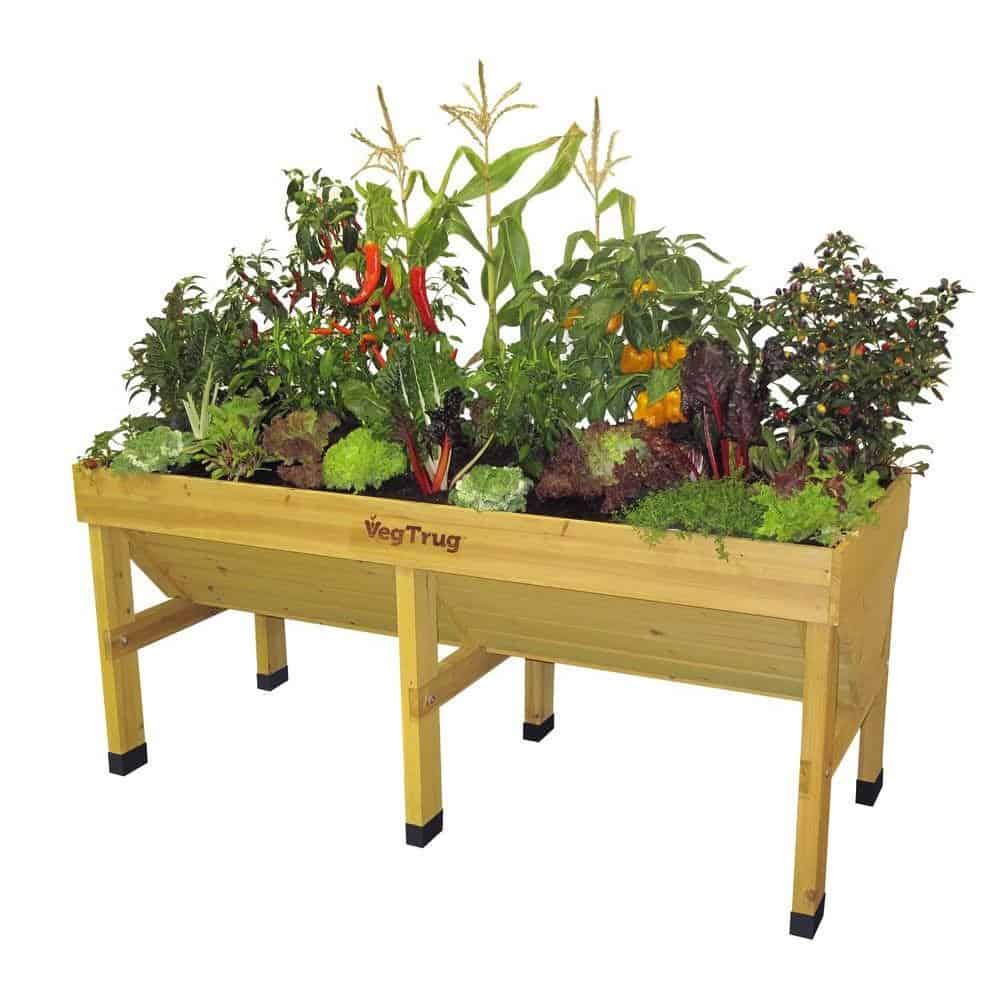 VegTrug Medium – Natural FSC100%