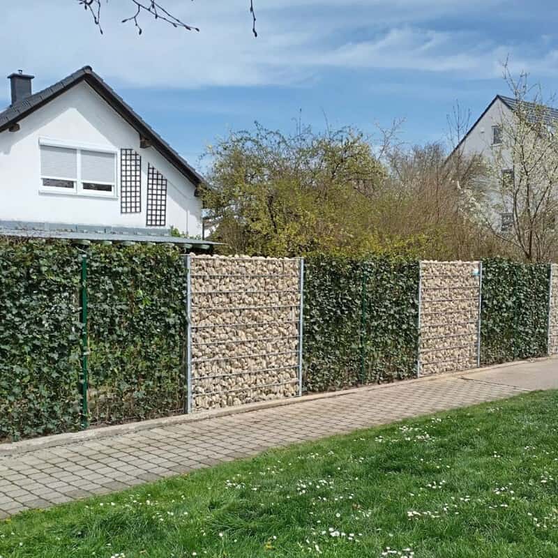 Gabion Privacy Wall