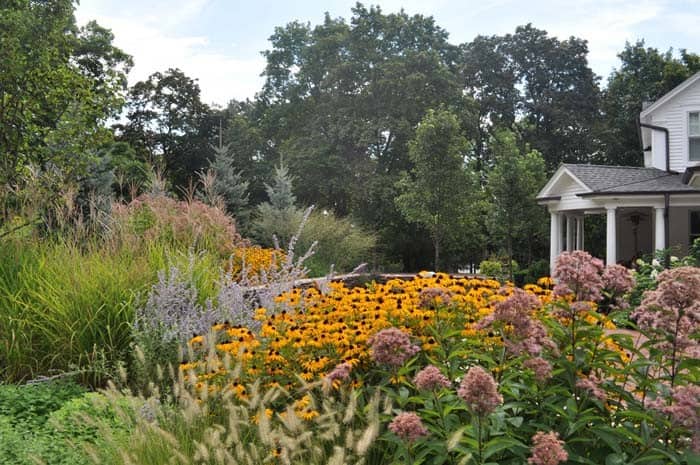 Full Yard of Layered Landscaping