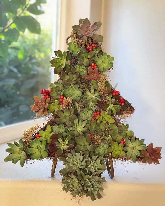 Replicate Festive Pine Tree with Succulents and Cacti Tree