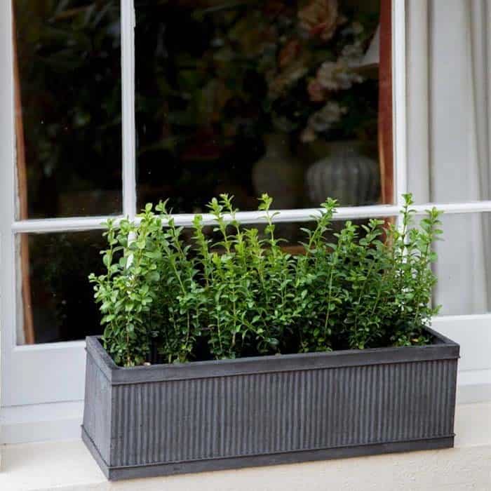 Enhance a Countryside Look with Rigid Metal Window Boxes