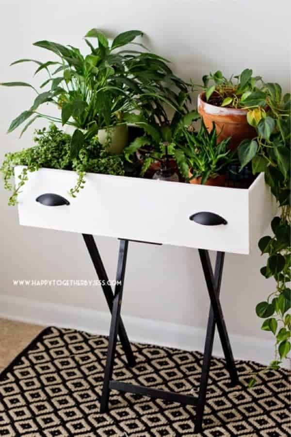 Repurposed Plant Holder Drawer