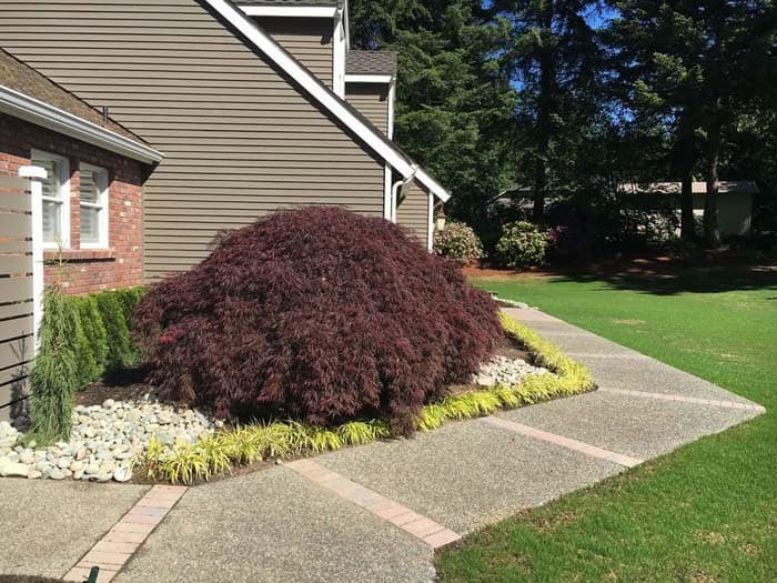 Stone Paving and Felt Concrete