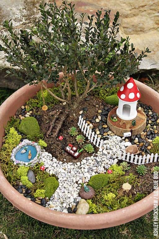 Turn Your Fairy Garden into a Bonsai Oasis