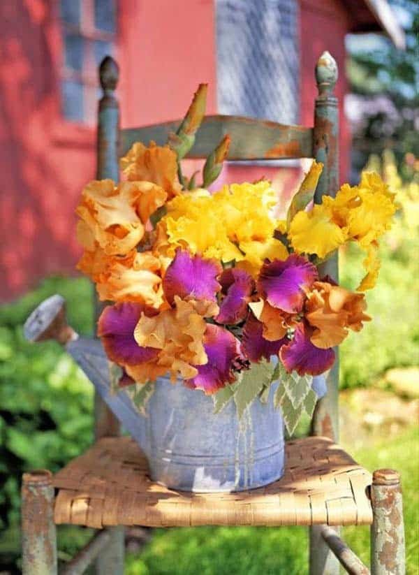 Enjoy Nature with a Vintage Watering Can Planter