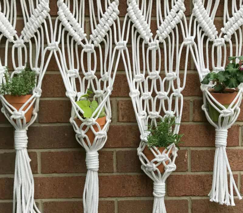 Vining Plants And Hanging Planters