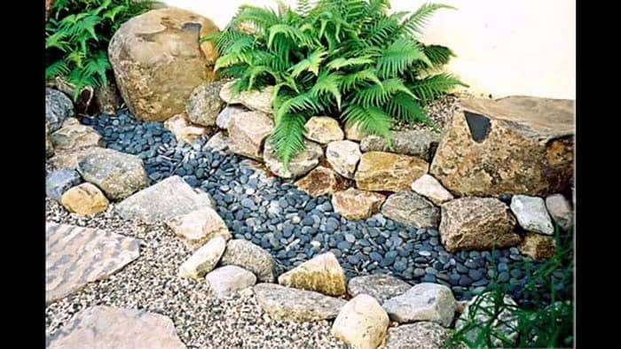 Include Palms and Ferns for a Lively Rock Garden Look