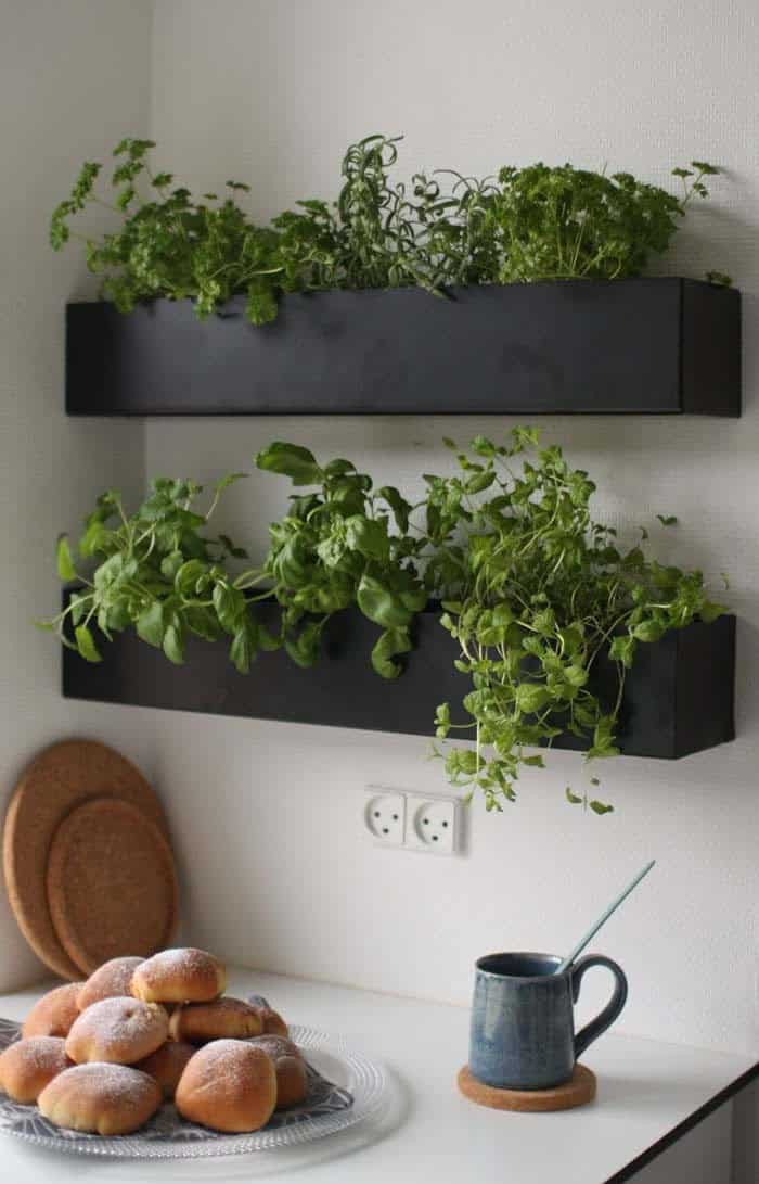 Grow Herbs Indoors With Hanging Boxes