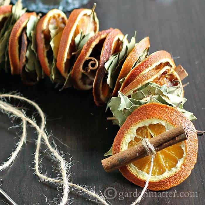 Delicious Spice Cinnamon Orange String