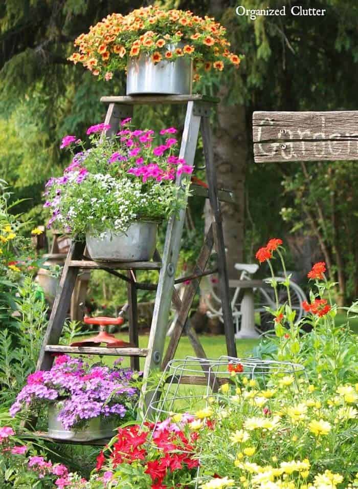 Make a Vintage Garden Centerpiece with an Old Ladder