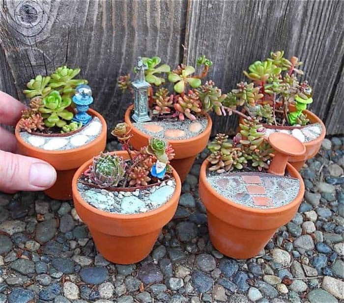 Turn Mini Planters into Succulent Fairy Gardens