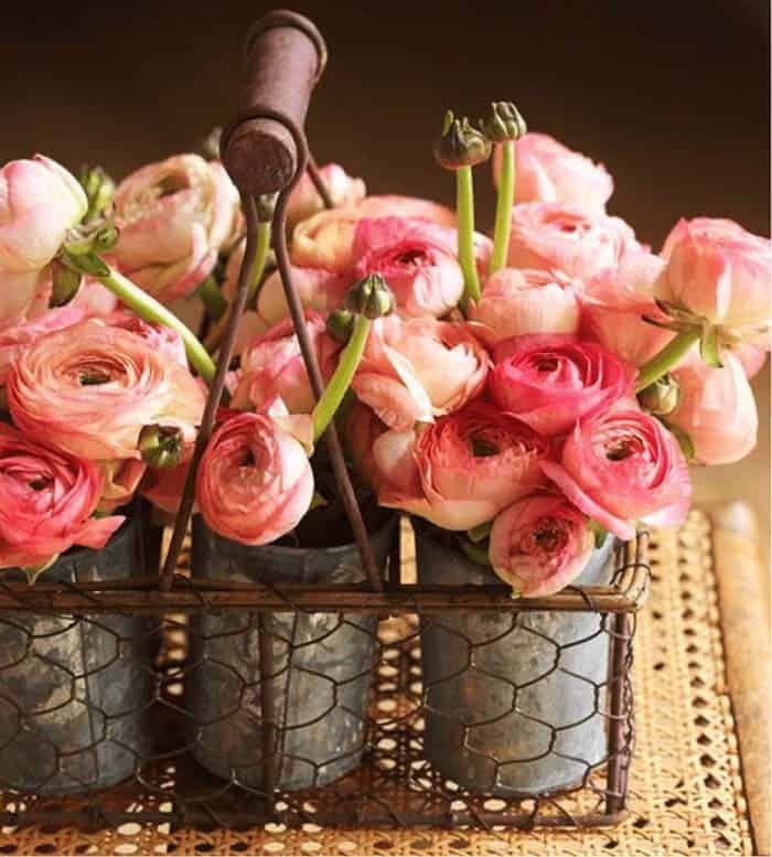 Cabbage Roses in a Basket of Buckets