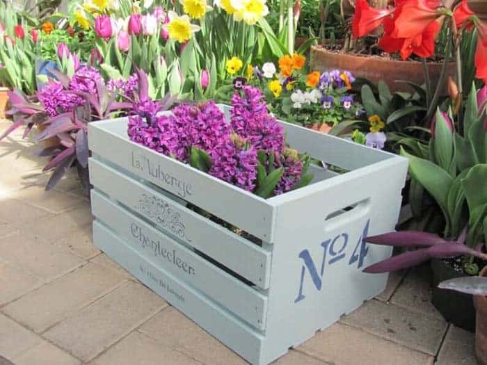 Bright Blooms Pop In A Painted Crate