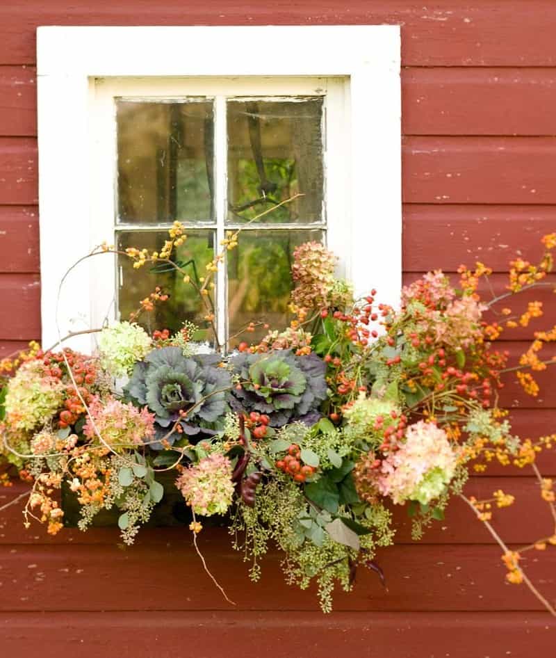 Autumn Bouquet In A Window Planter