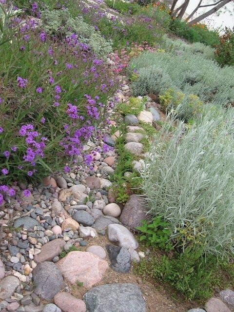 Garden Border With Rocks