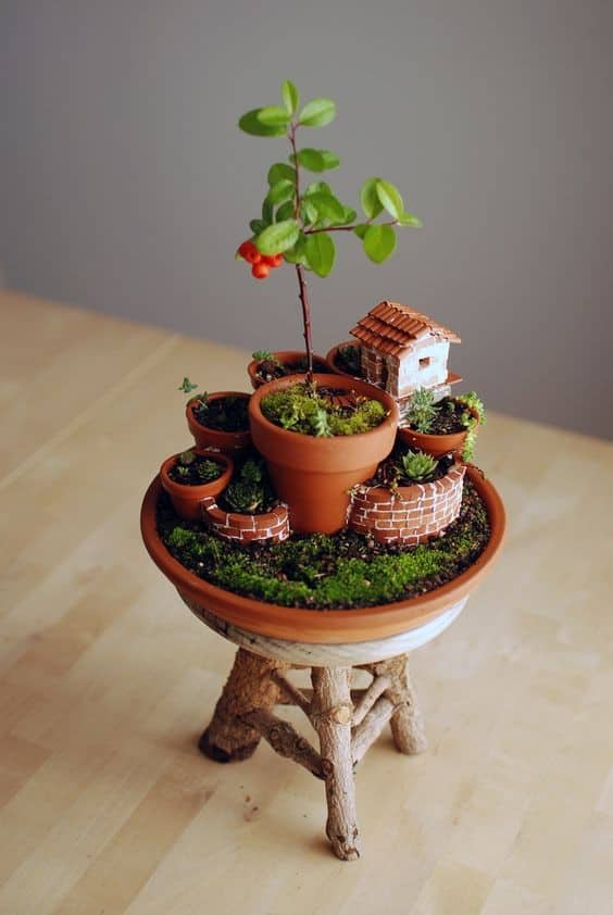 Keep it Simple with a Mini Fairy Garden