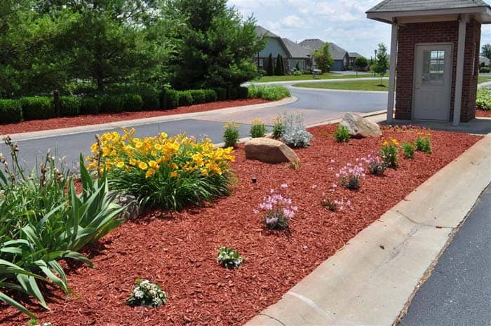 Red Mulch in a Center Garden