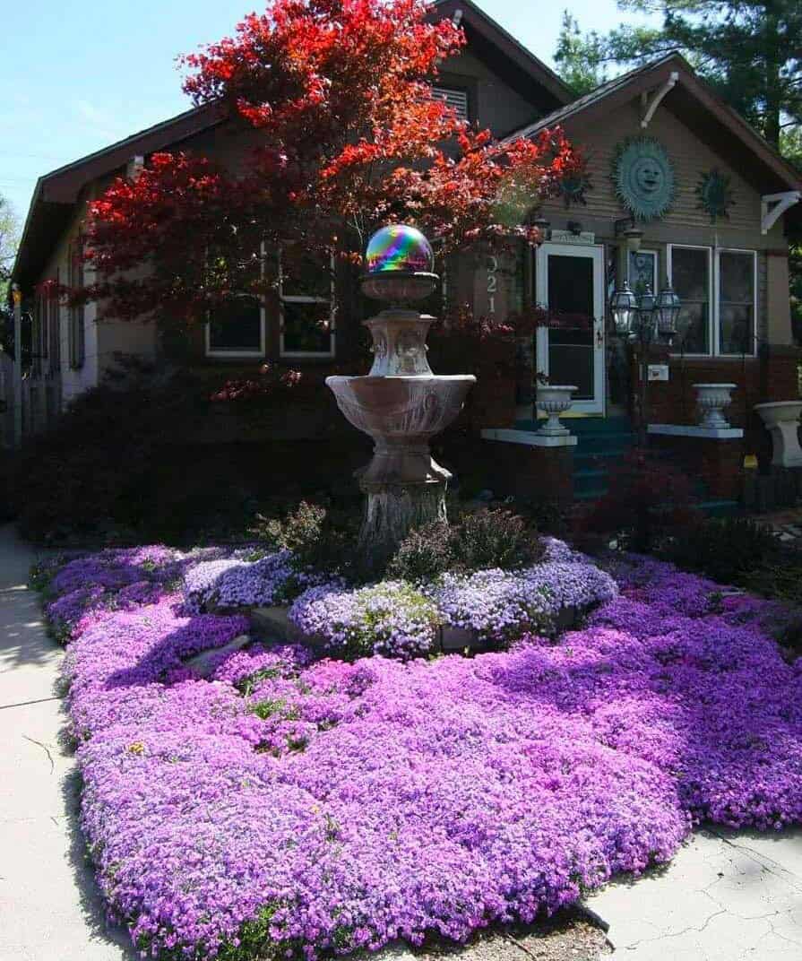 Creeping Phlox Paradise