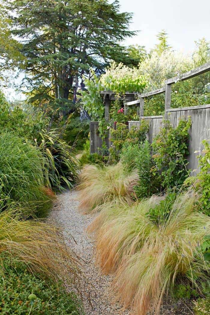 Instantly Transform Your Space with Ornamental Grasses