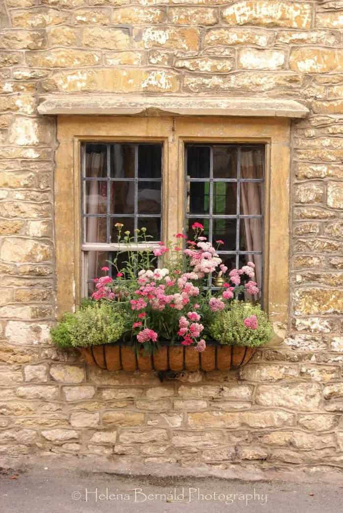 Plant Flowers in a Wrought Iron Basket with Coco Liner