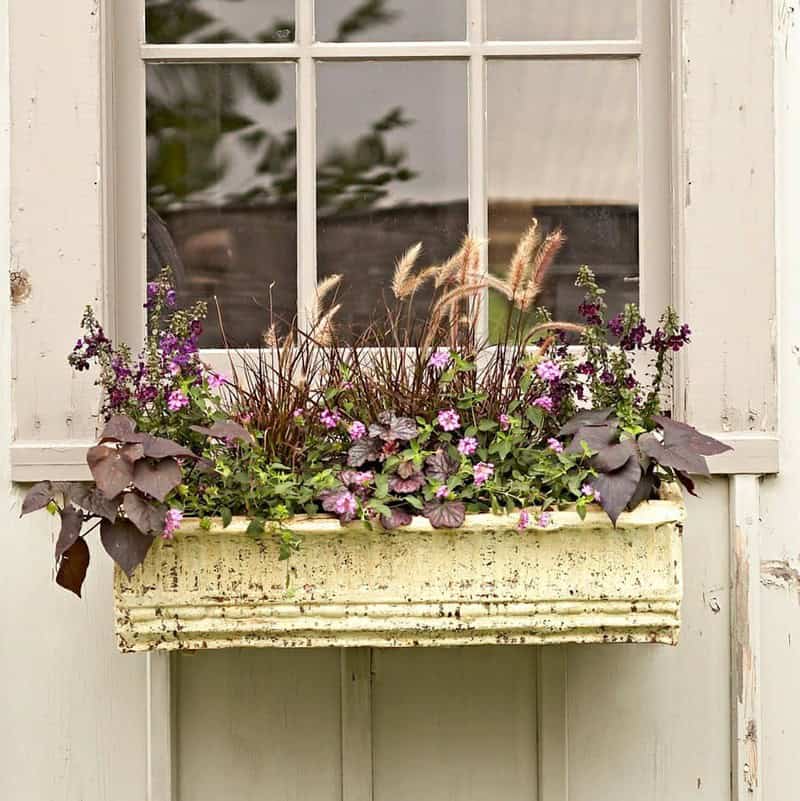 Antique Garden At The Window