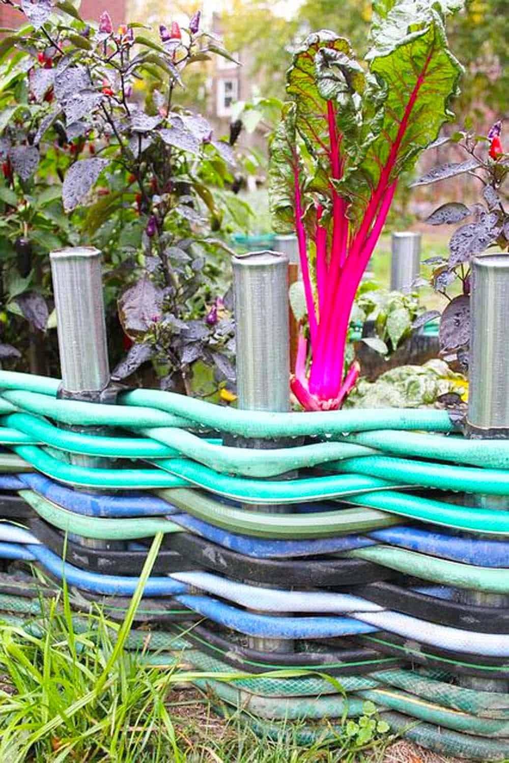 Upcycled Hose Garden Bed