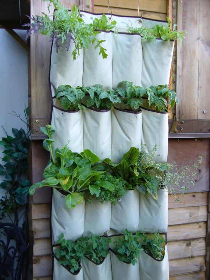 Create a Herb Garden with Your Old Shoe Organizer