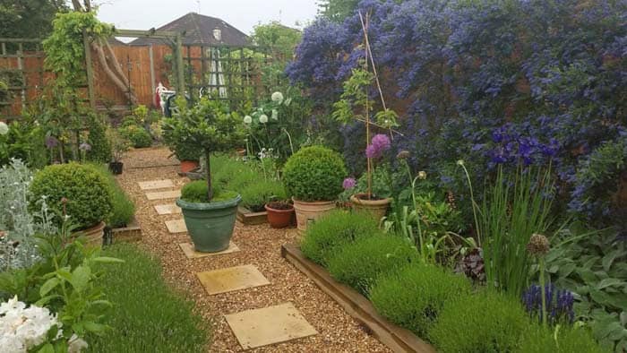 Dreamy Garden with Climbing Flowers and Potted Plants